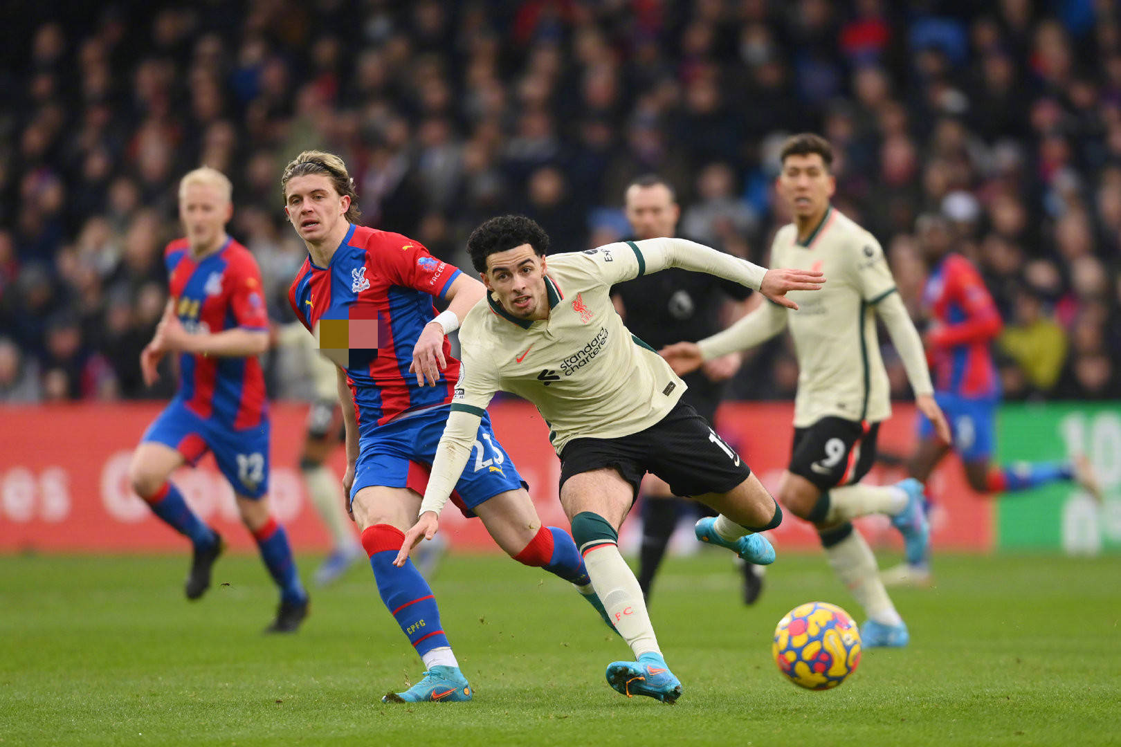 甲的某些赛 甲的某些赛